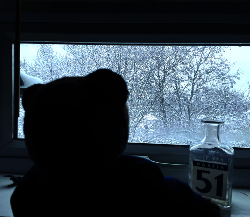 A Bear In Winter 1024x889